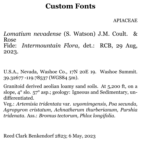 One custom Fonts
