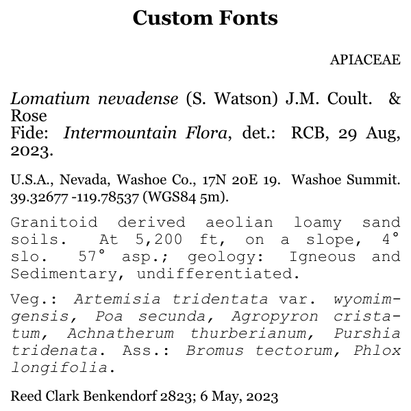 Two custom Fonts