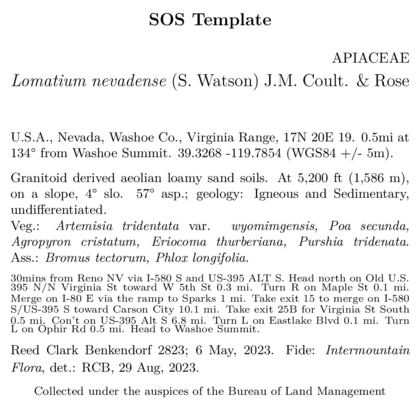 Default SOS template results