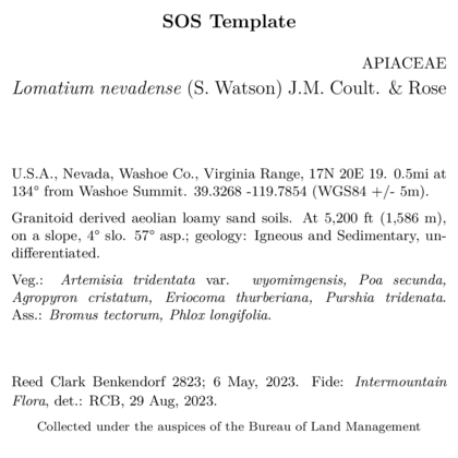 Smaller project name